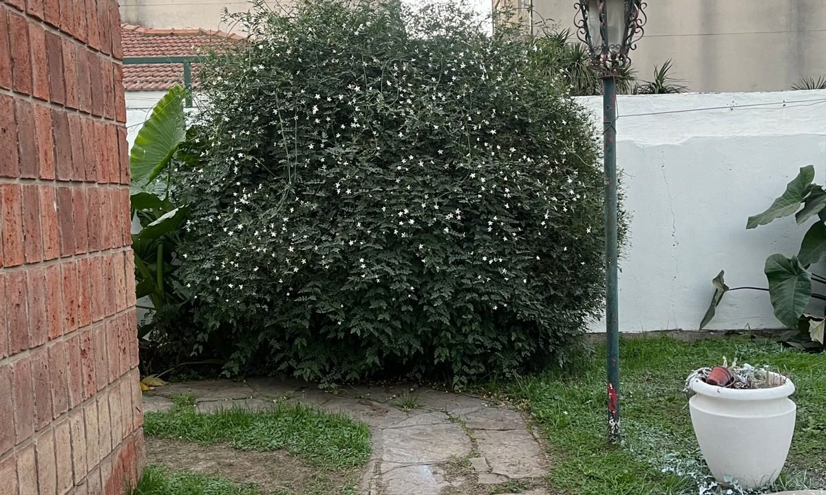 WhatsApp Image 2024-07-03 at 12.26.07 (1)