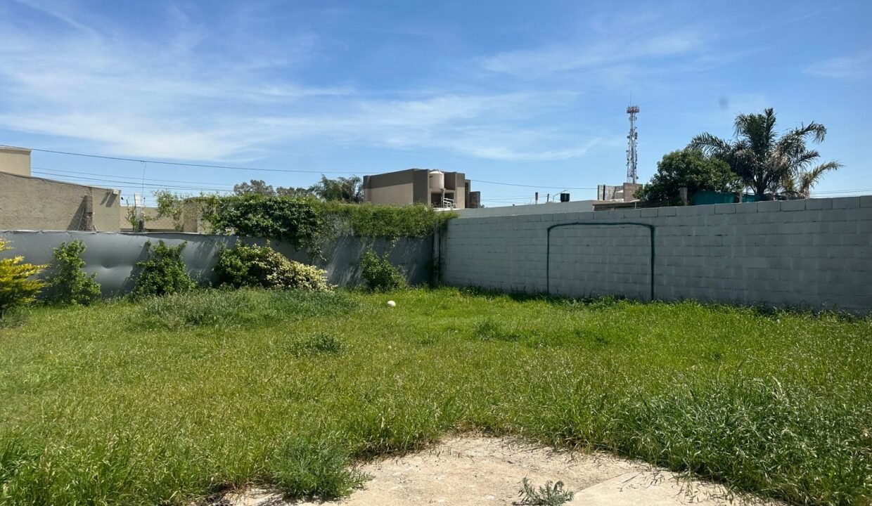 WhatsApp Image 2025-10-09 at 12.32.07 PM