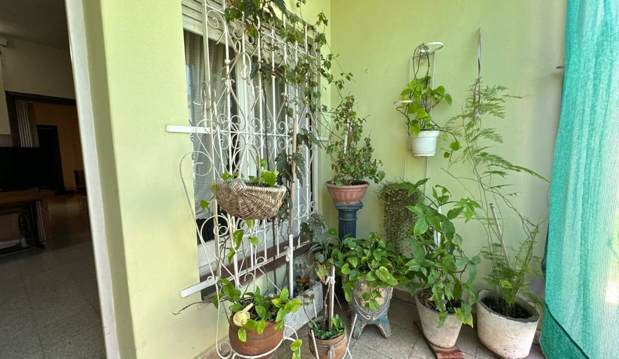 WhatsApp Image 2025-10-20 at 12.40.26 PM