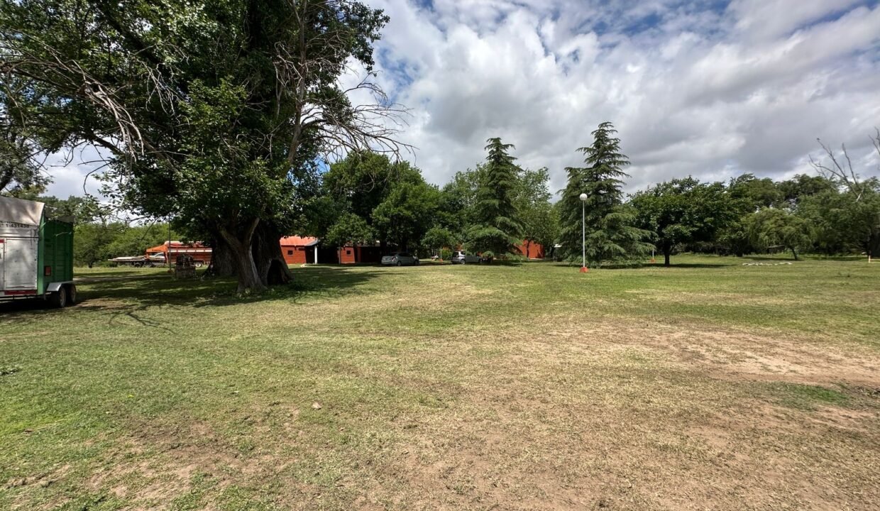 WhatsApp Image 2025-11-05 at 1.09.28 PM