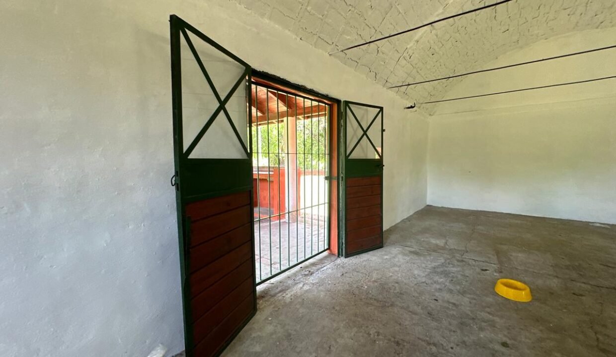 WhatsApp Image 2025-11-05 at 1.09.38 PM (3)