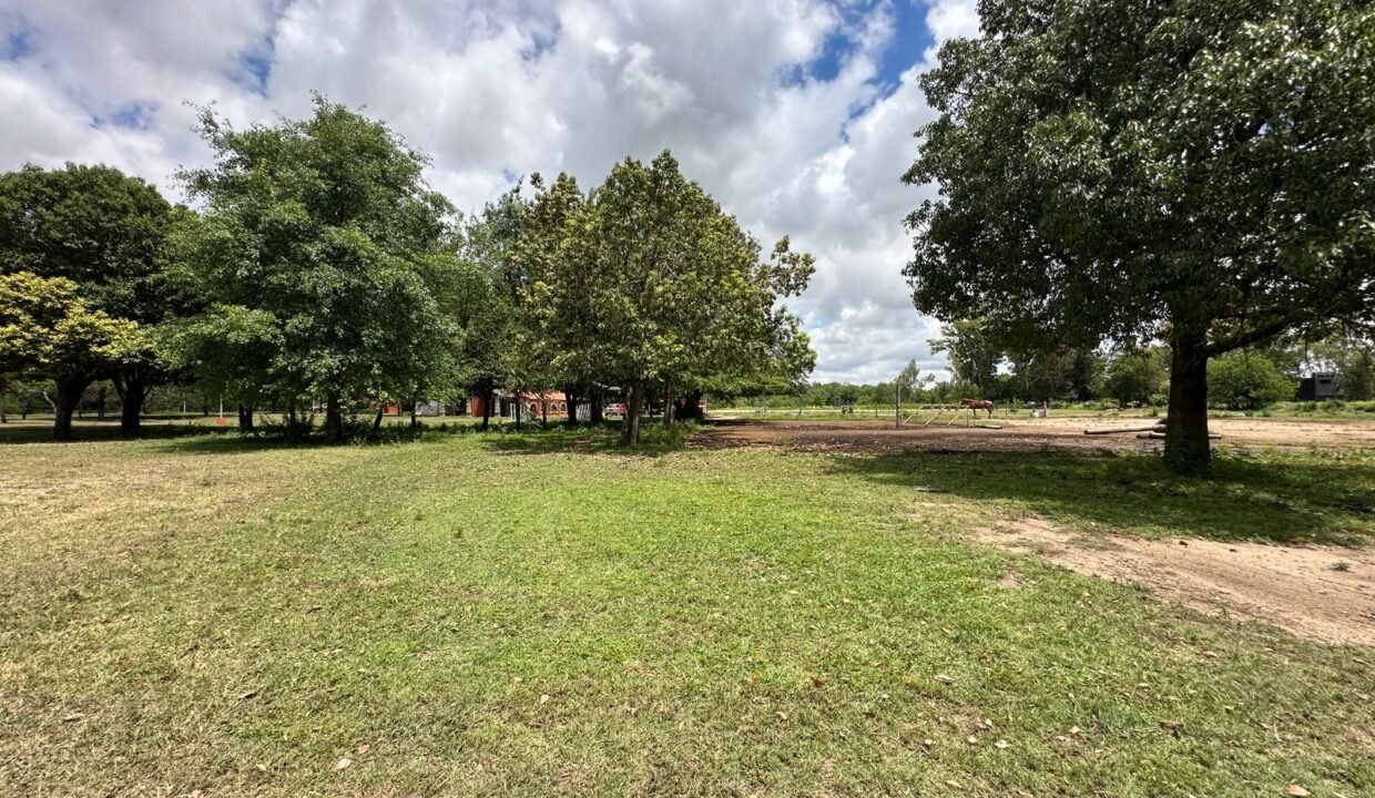 WhatsApp Image 2025-11-05 at 1.20.07 PM