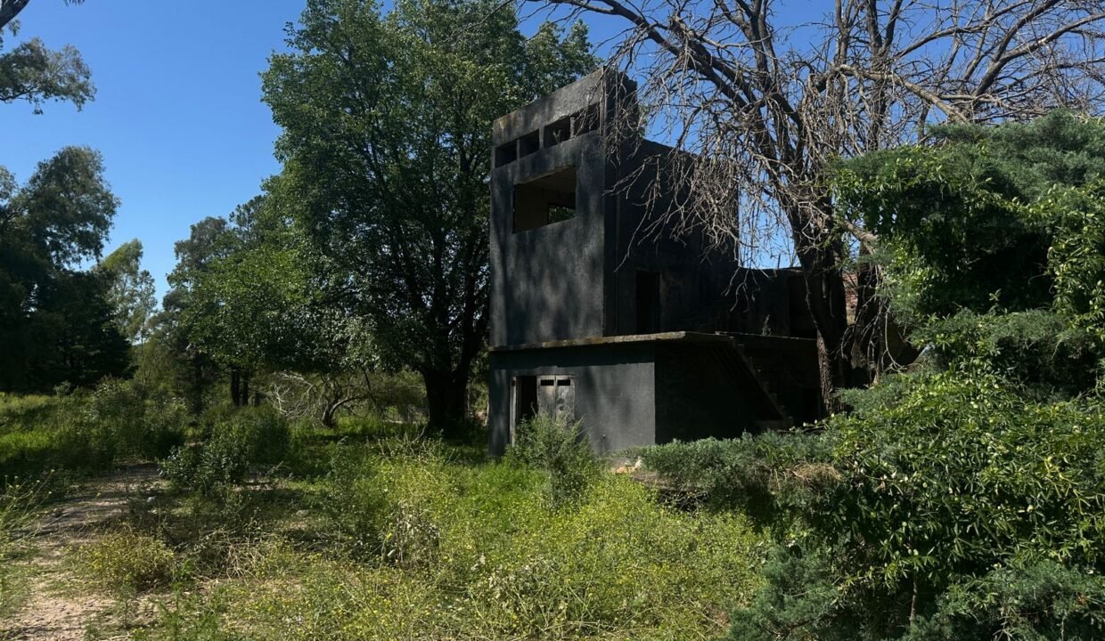 WhatsApp Image 2025-11-13 at 10.36.28 AM (1)