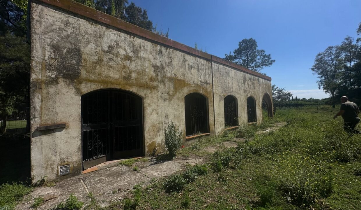 WhatsApp Image 2025-11-13 at 10.36.28 AM