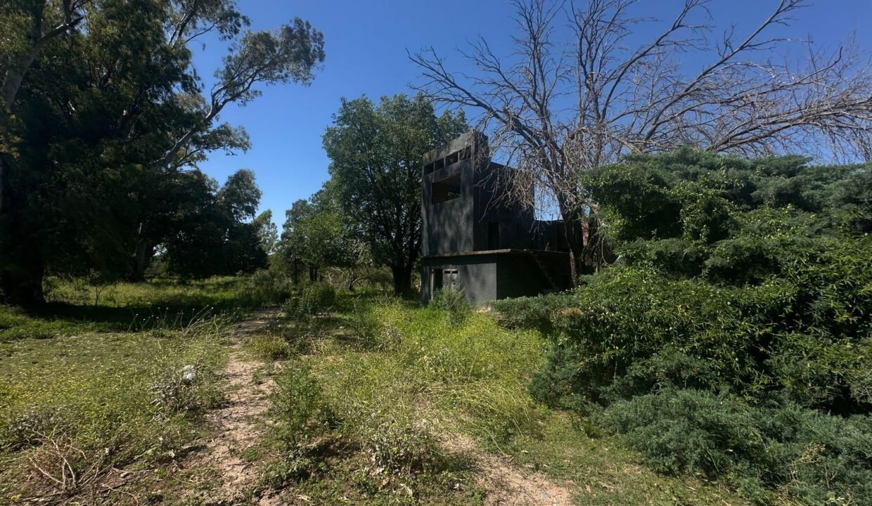 WhatsApp Image 2025-11-13 at 10.36.28 AM (2)