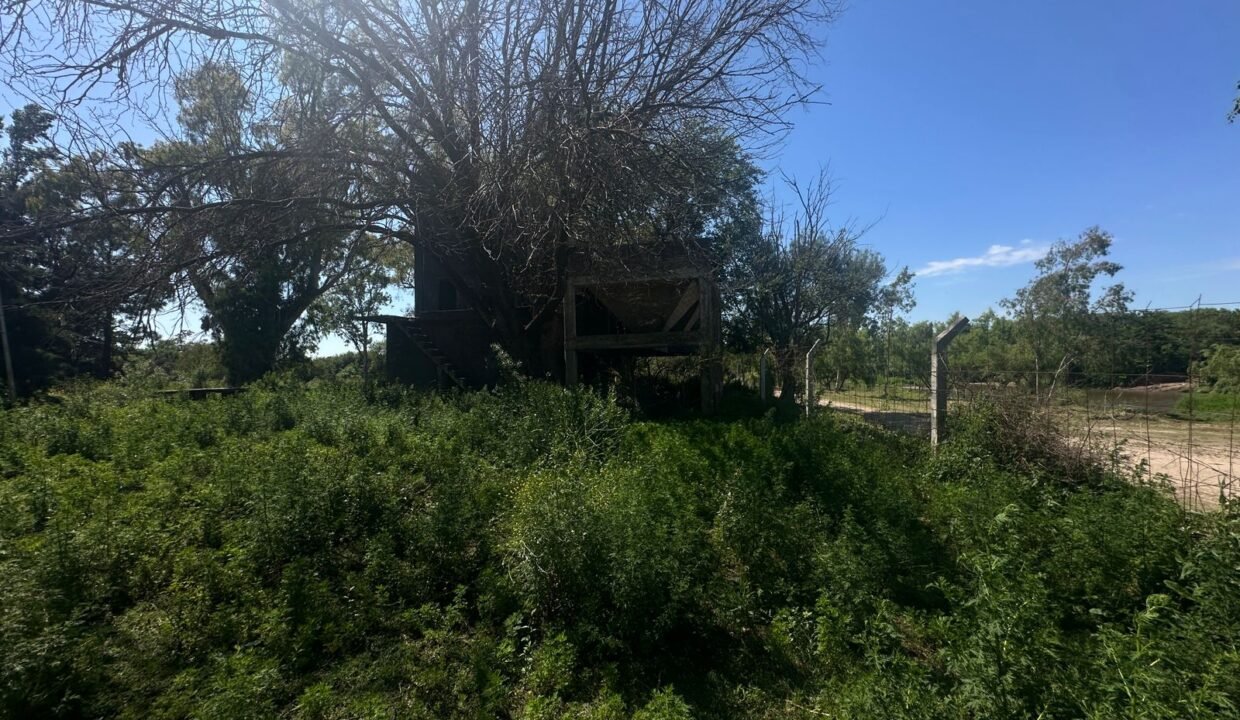 WhatsApp Image 2025-11-13 at 10.36.29 AM (1)