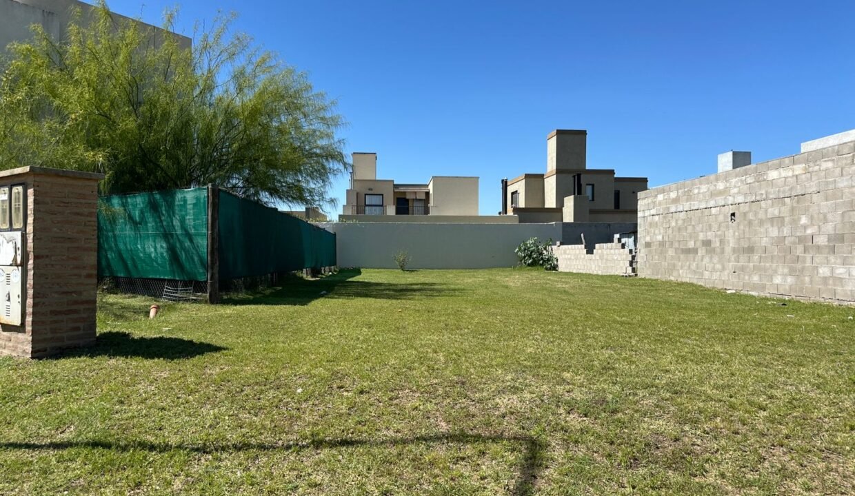 WhatsApp Image 2025-11-17 at 3.34.19 PM (1)