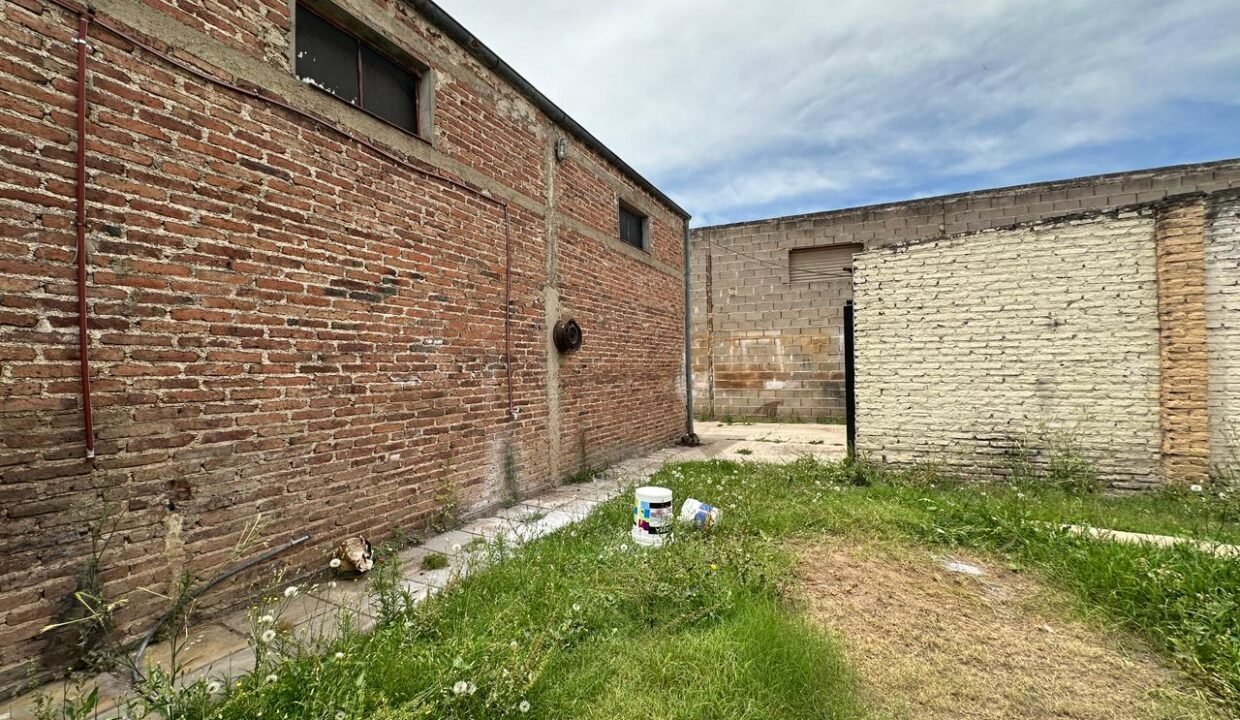 WhatsApp Image 2025-12-05 at 12.16.51 PM