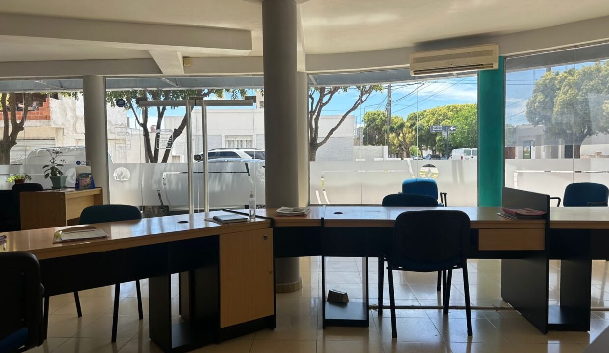 WhatsApp Image 2025-12-04 at 11.41.26 AM