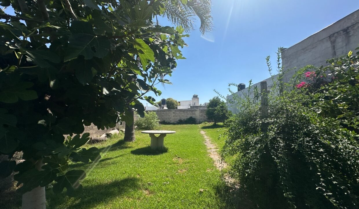 WhatsApp Image 2025-12-19 at 10.39.22 AM