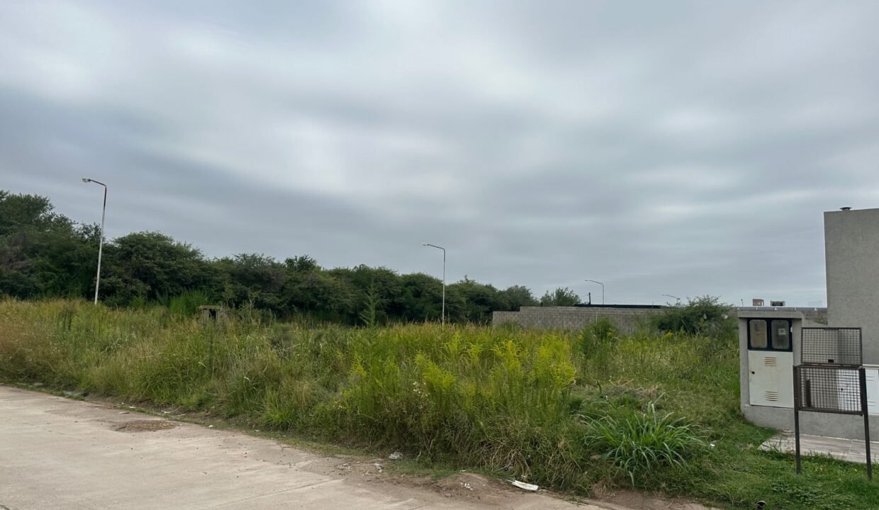 3cc6bfbf-17eb-496c-bf85-554ea5f804c6