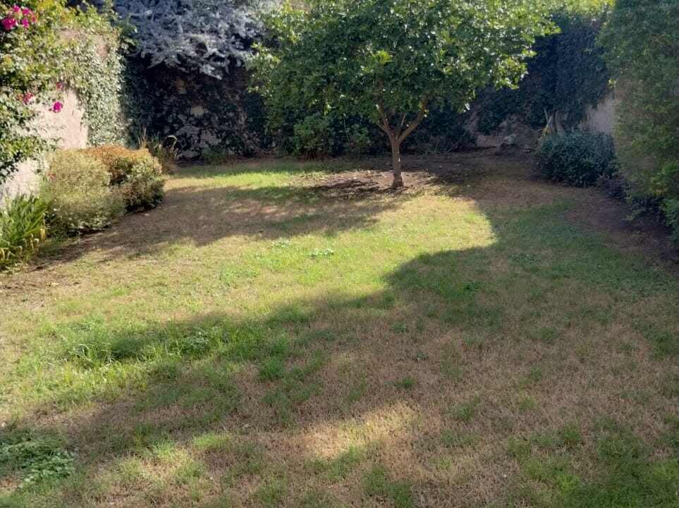 WhatsApp Image 2024-02-14 at 5.13.22 PM