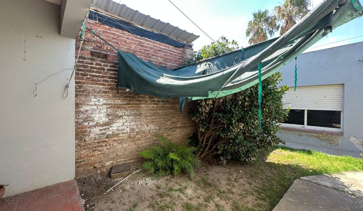 WhatsApp Image 2026-02-03 at 11.11.04 AM