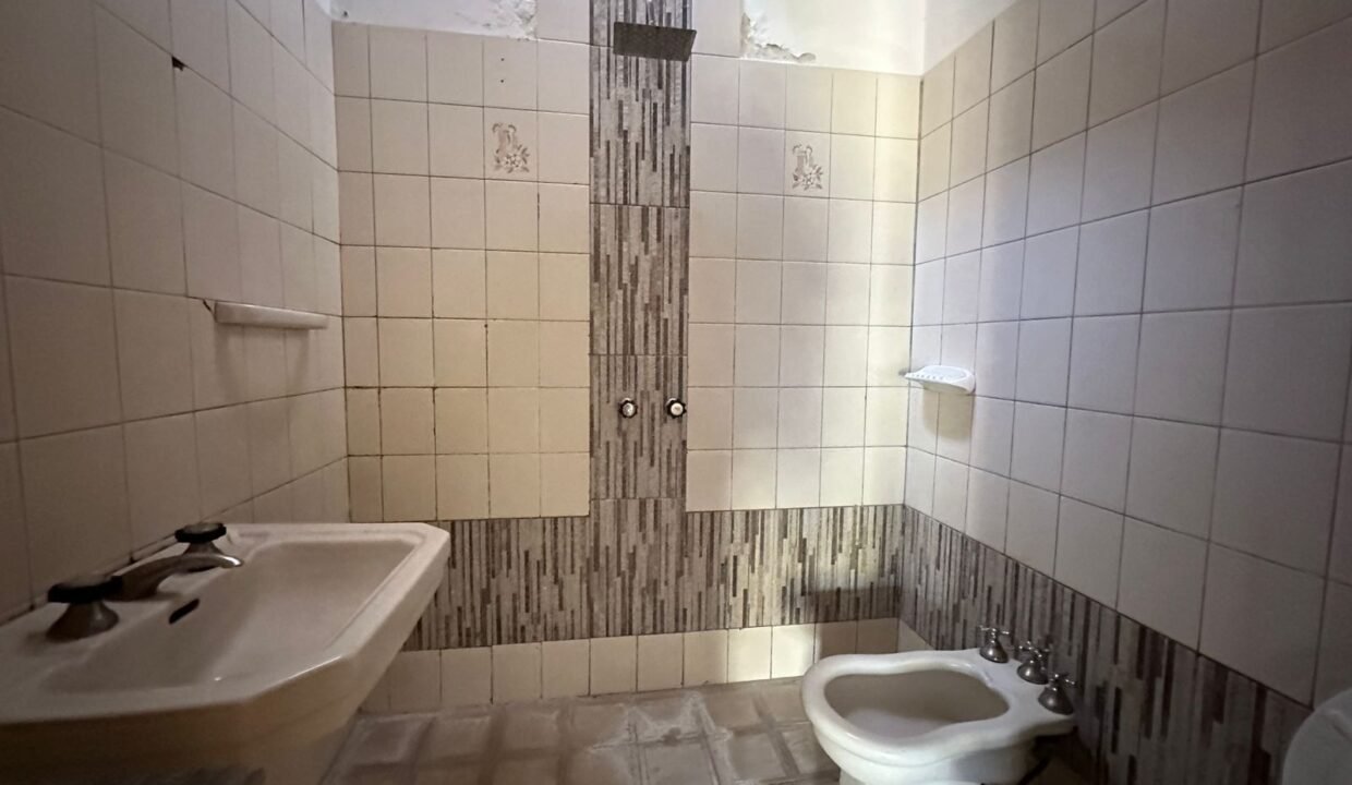 WhatsApp Image 2026-02-03 at 11.11.09 AM