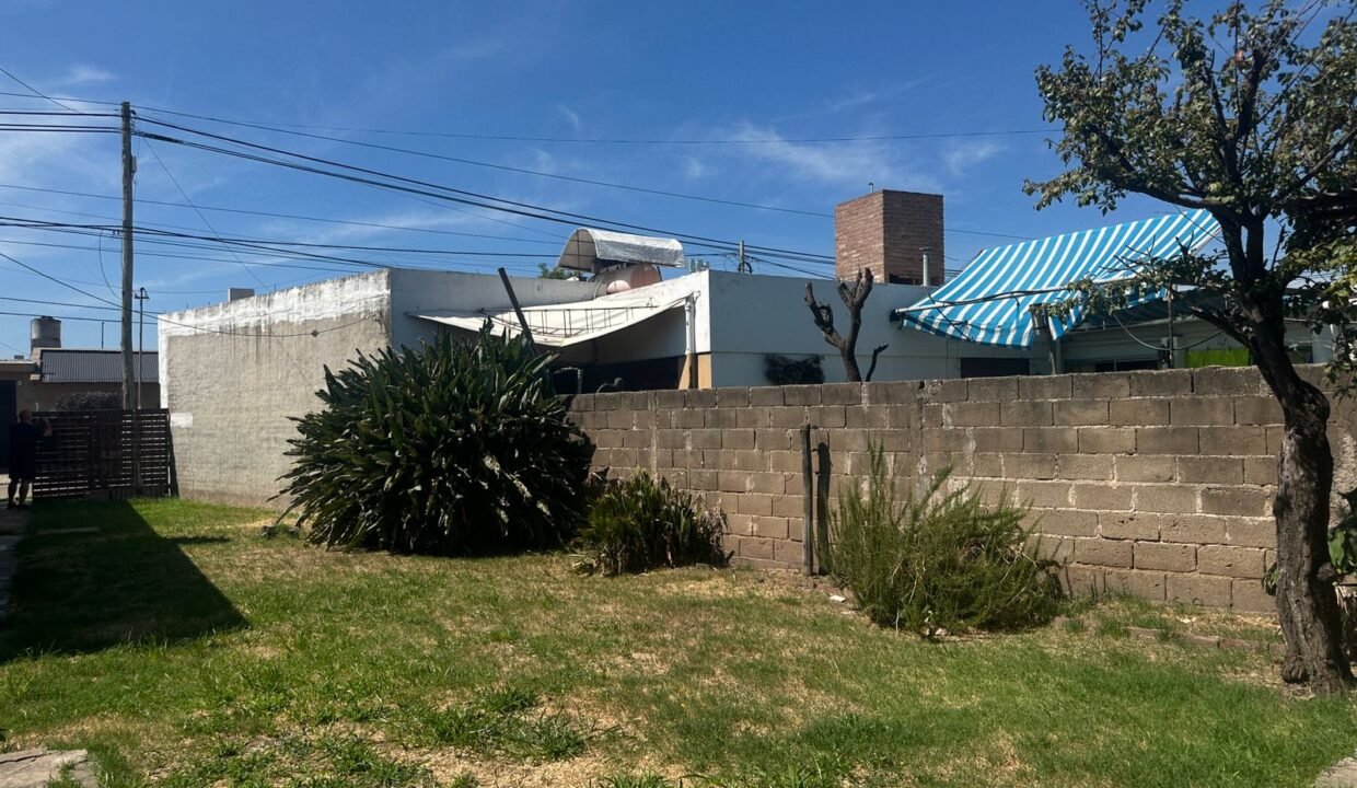 WhatsApp Image 2026-02-03 at 11.11.11 AM (2)