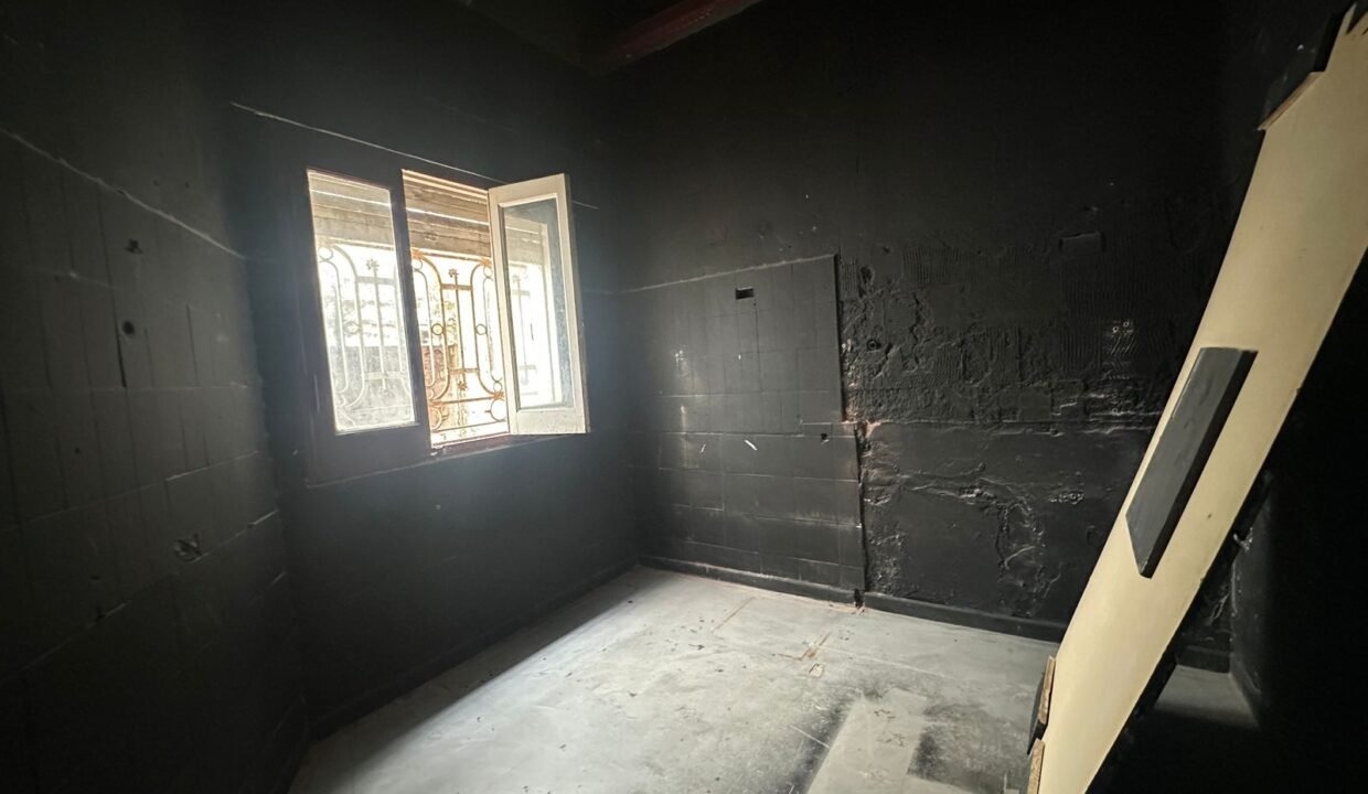 WhatsApp Image 2026-02-11 at 12.48.36 PM (1)