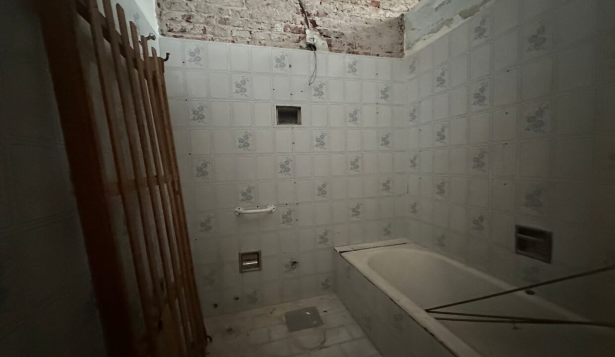 WhatsApp Image 2026-02-11 at 12.48.37 PM