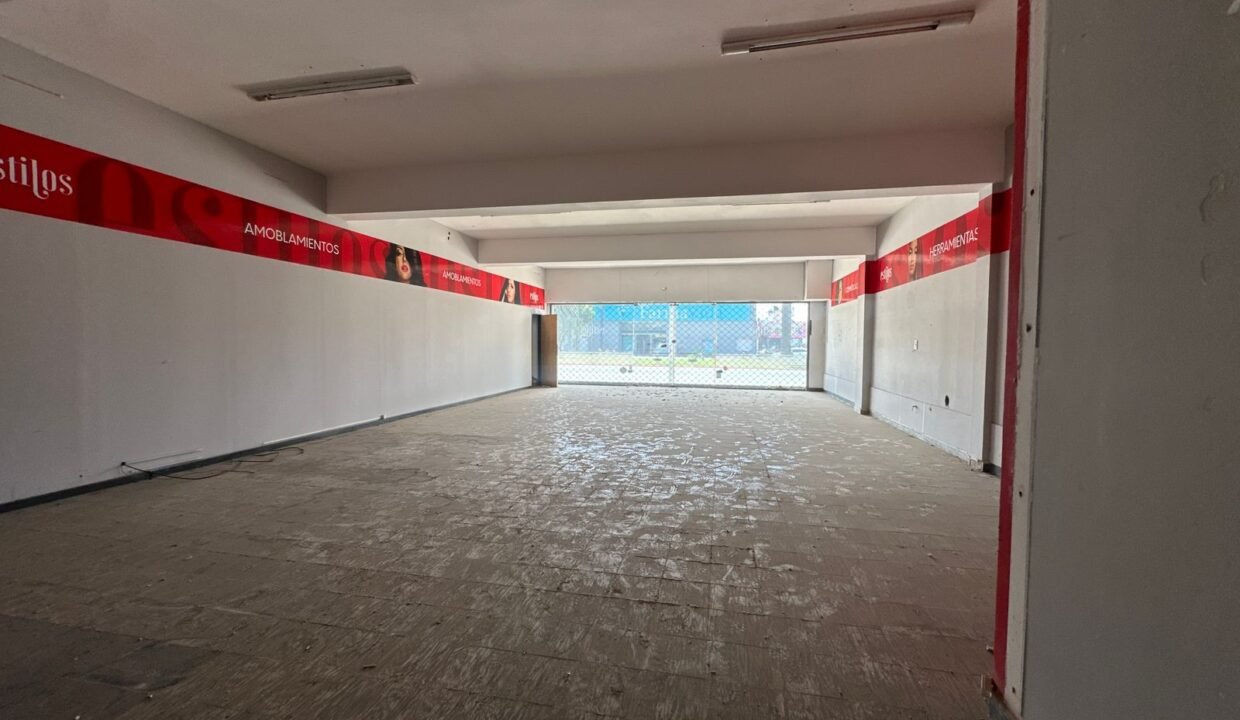 WhatsApp Image 2026-02-25 at 12.49.17 PM