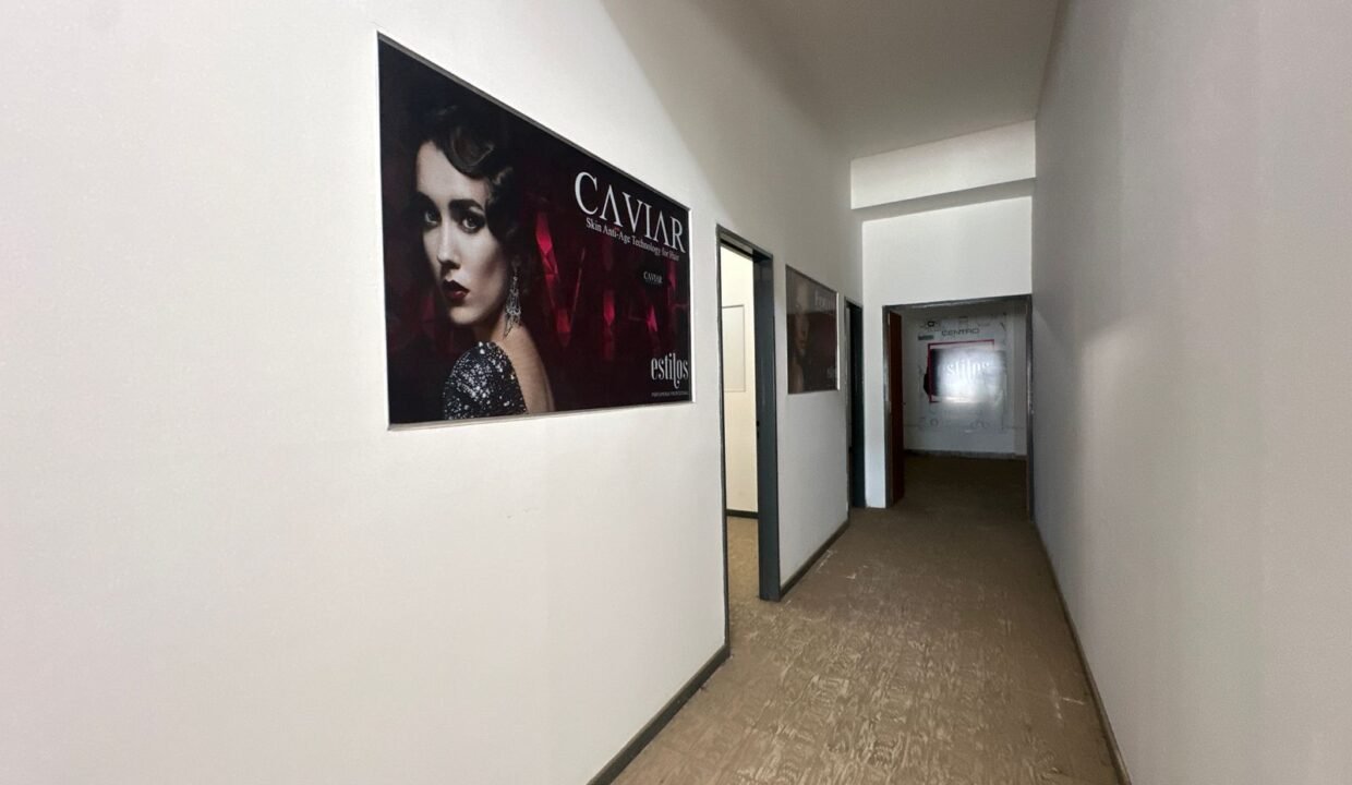 WhatsApp Image 2026-02-25 at 12.49.17 PM (3)