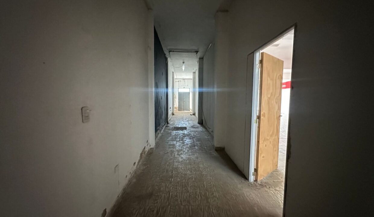 WhatsApp Image 2026-02-25 at 12.49.18 PM (2)