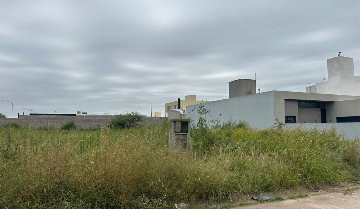 aeecd584-88cd-4365-a454-65aa85377d74