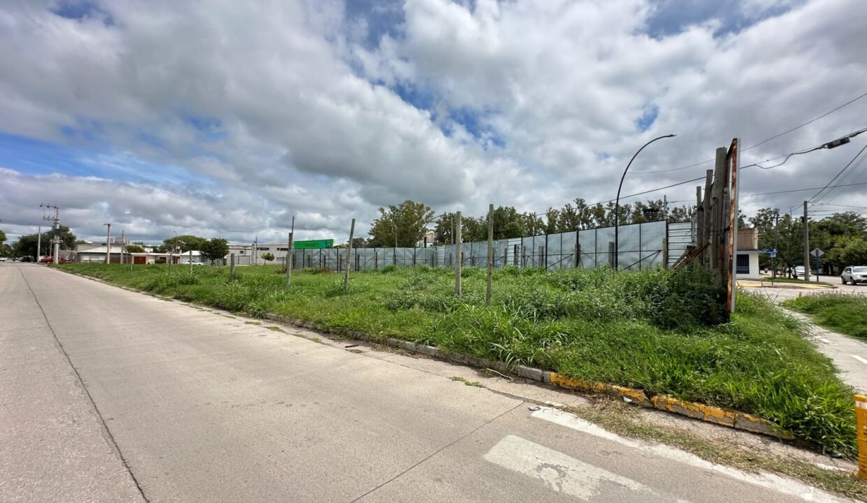 WhatsApp Image 2026-03-04 at 10.05.52 AM (3)