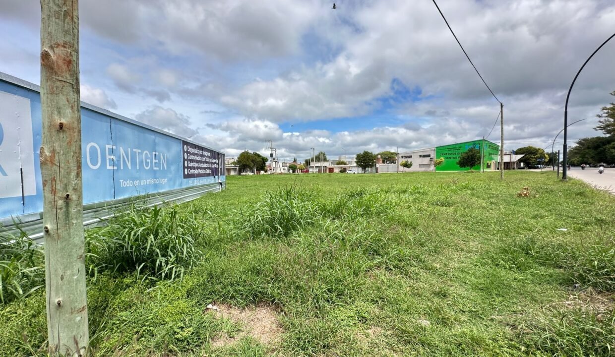 WhatsApp Image 2026-03-04 at 10.05.52 AM (4)