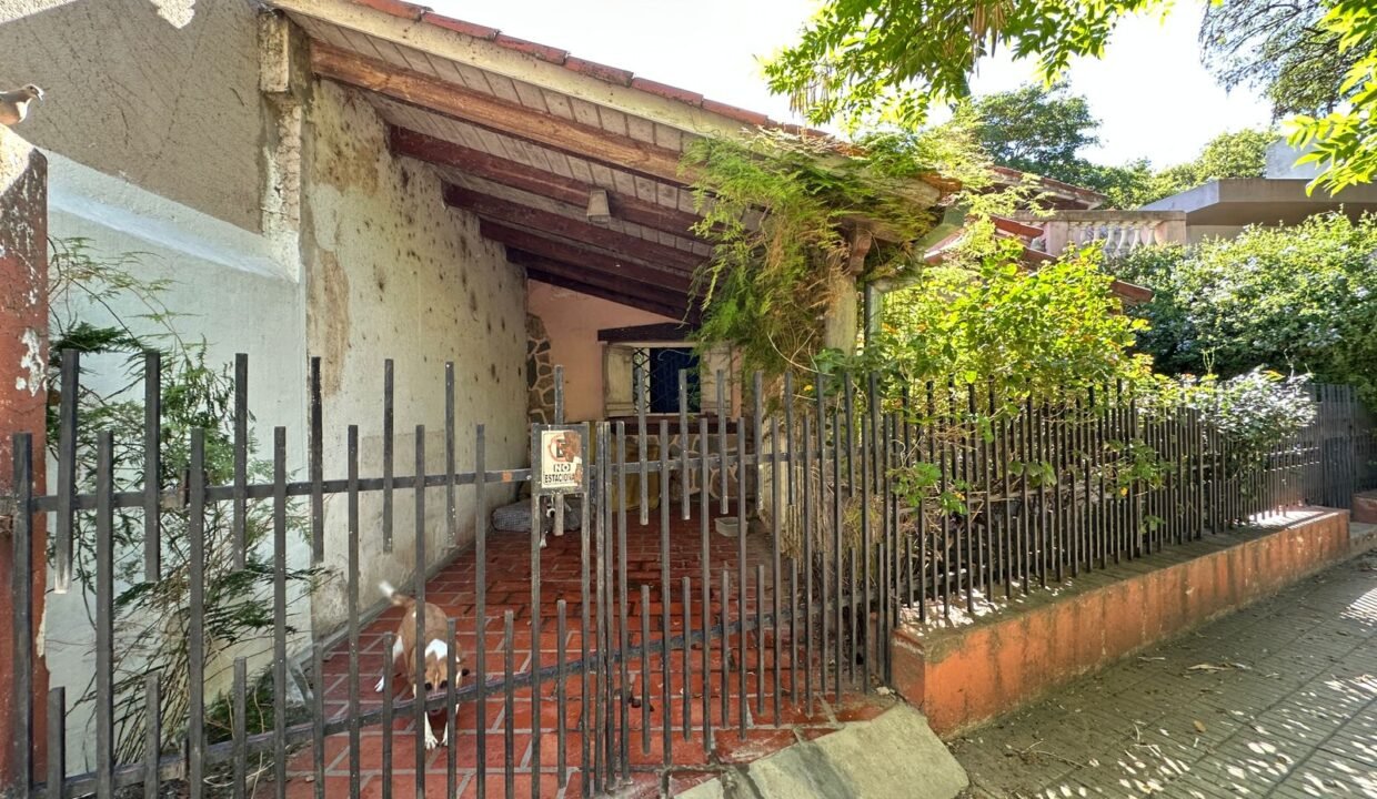 WhatsApp Image 2026-03-04 at 10.06.23 AM