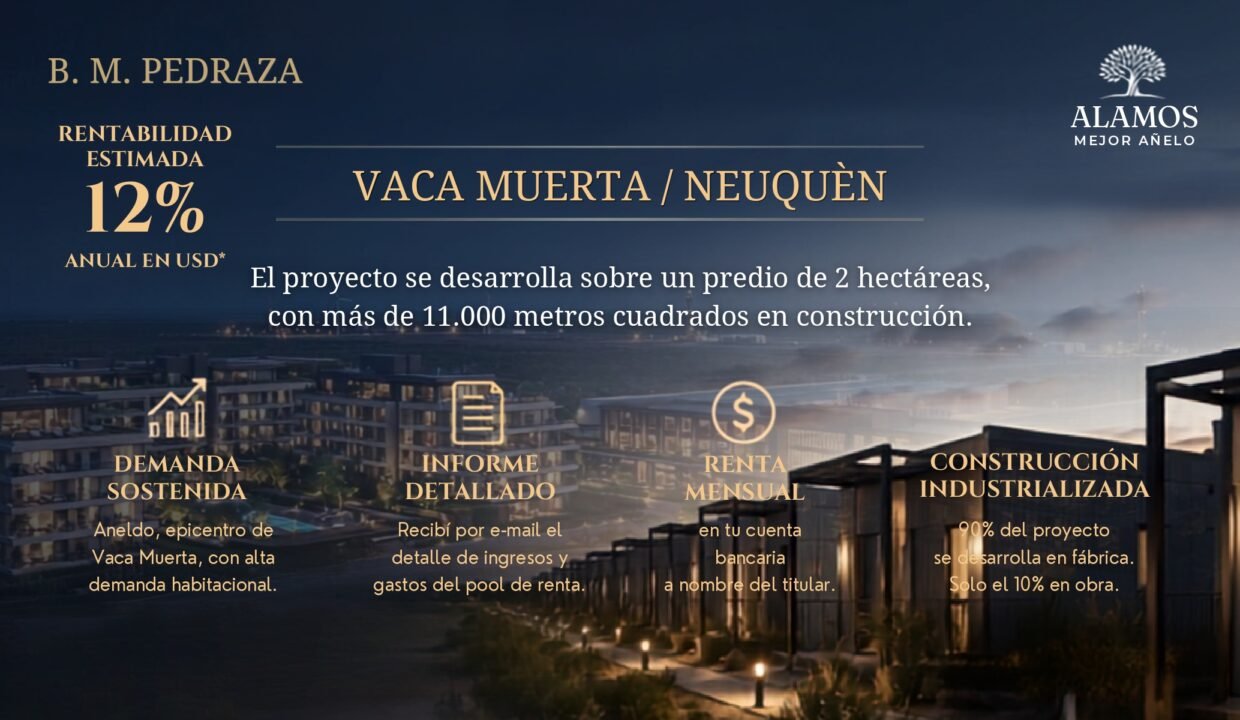 VACA MUERTA B.M.PEDRAZA_page-0002