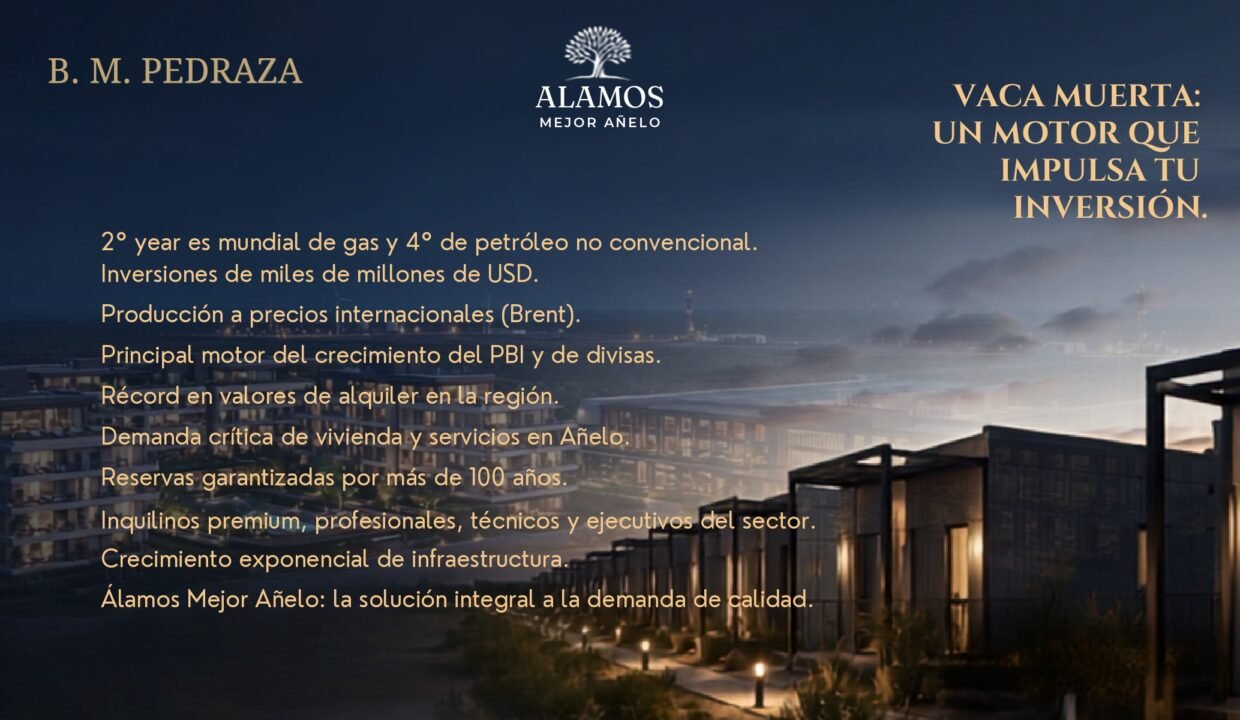 VACA MUERTA B.M.PEDRAZA_page-0003