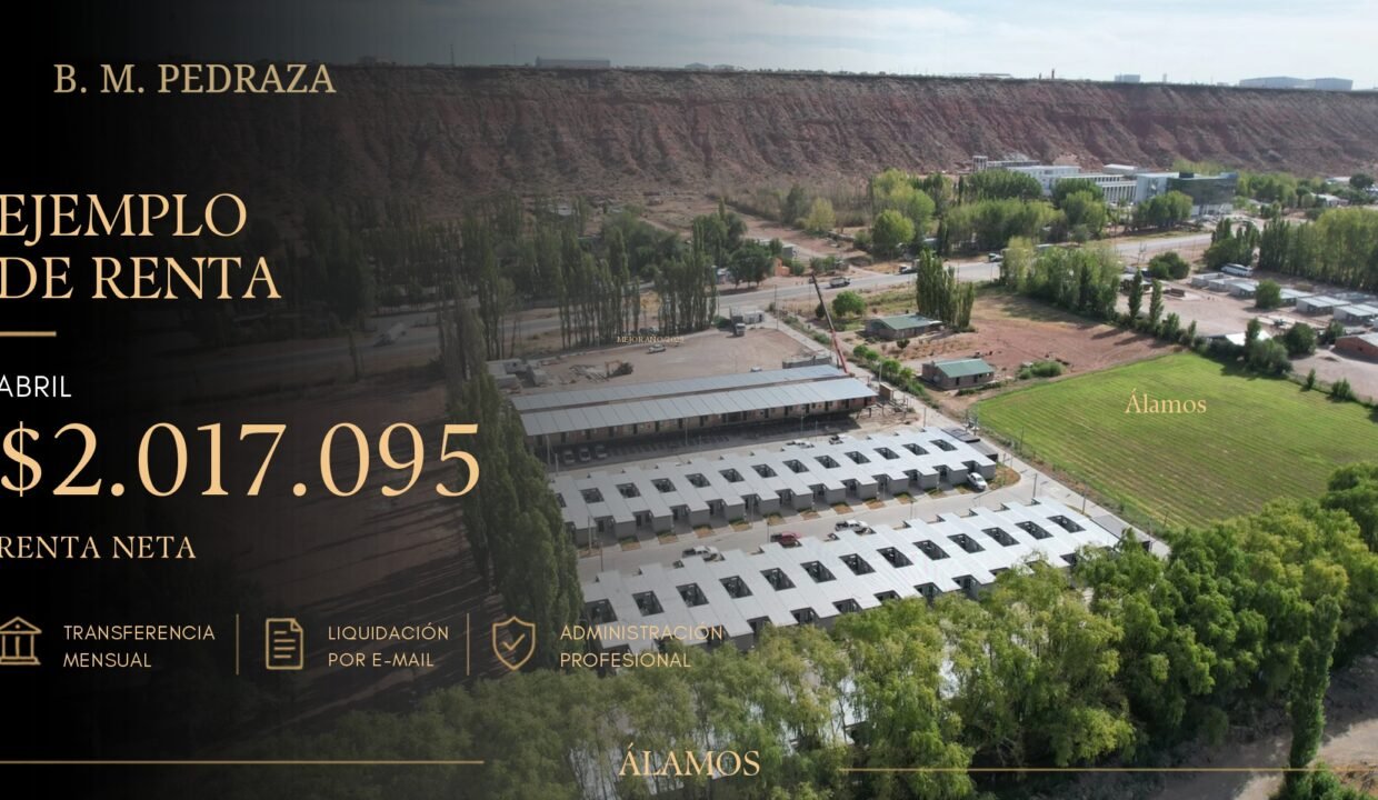 VACA MUERTA B.M.PEDRAZA_page-0006
