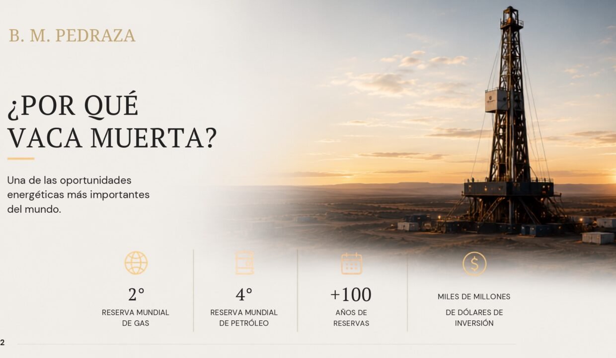 VACA MUERTA B.M.PEDRAZA_page-0007